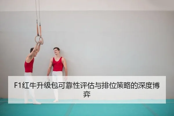 F1红牛升级包可靠性评估与排位策略的深度博弈